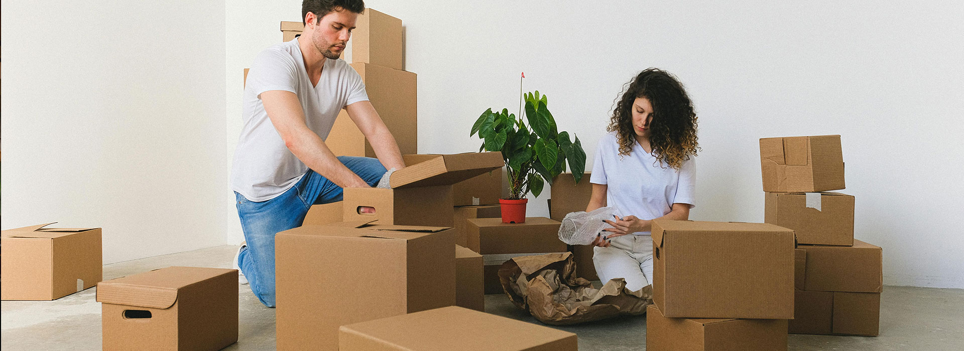 Move In/Move out cleaning